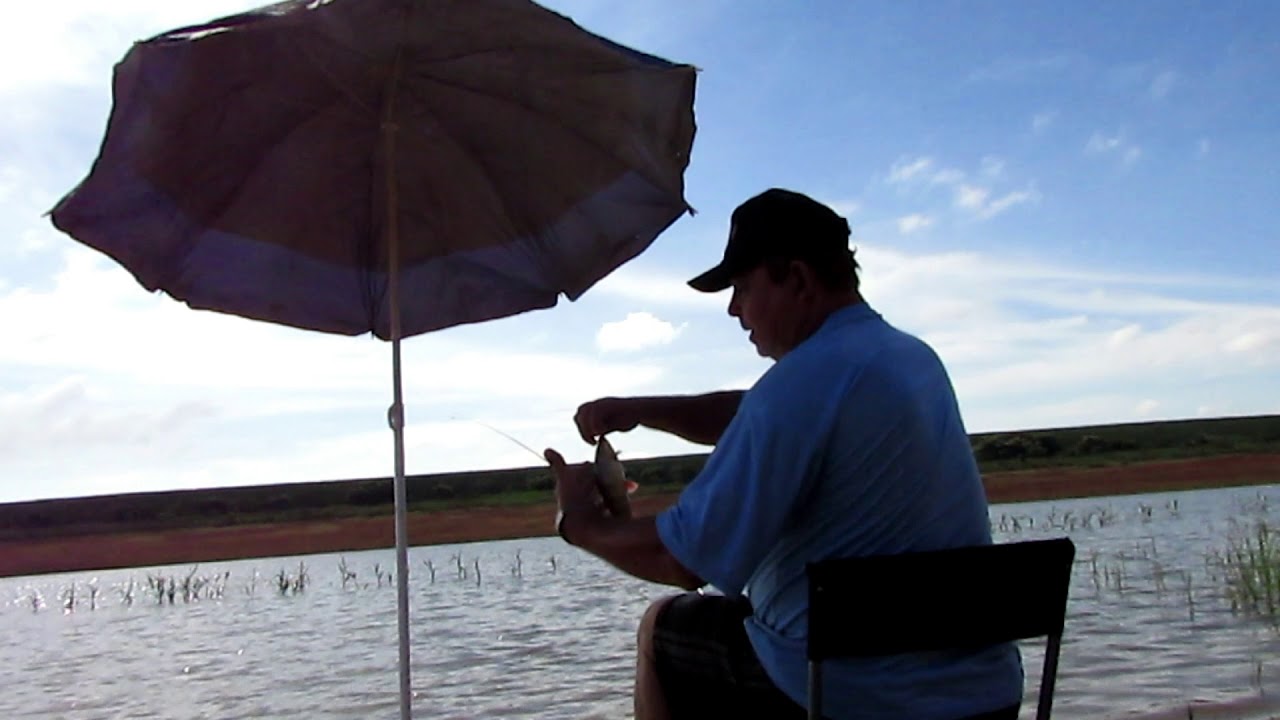 PESCARIA DO PIAU NO LAGO DE FURNAS  COM ISCA DE MASSA.