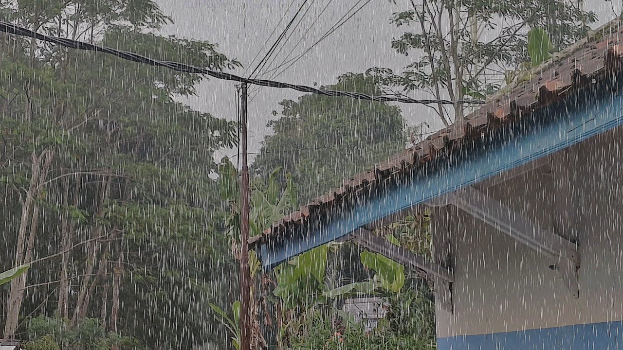 Сильный дождь, настолько интенсивный, что ваш разум отключается 🌧️ Глубокий сон и полное расслаблени