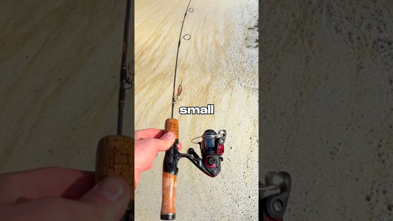 I Tested a TINY Fishing Rod 🐟🎣 #fishing