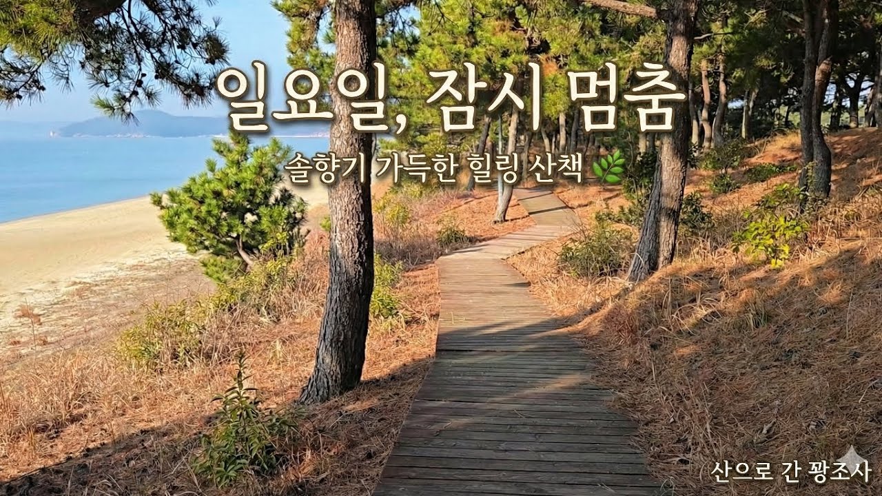 일요일, 마음이 편안해지는 7분 힐링 산책 (파도소리, 솔밭길)(Sunday Healing Walk: 7 Minutes of Peace with Ocean Sounds)