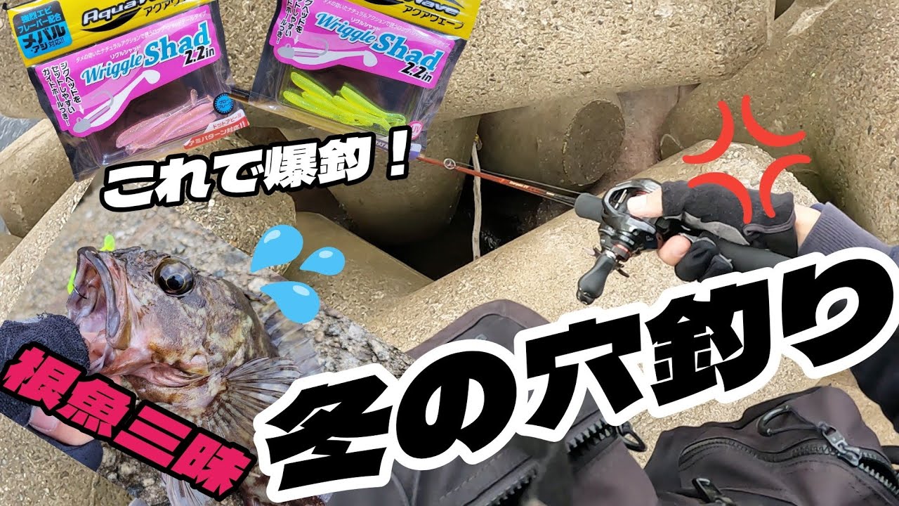 冬の【穴釣り】【根魚】簡単仕掛け！必勝楽勝！