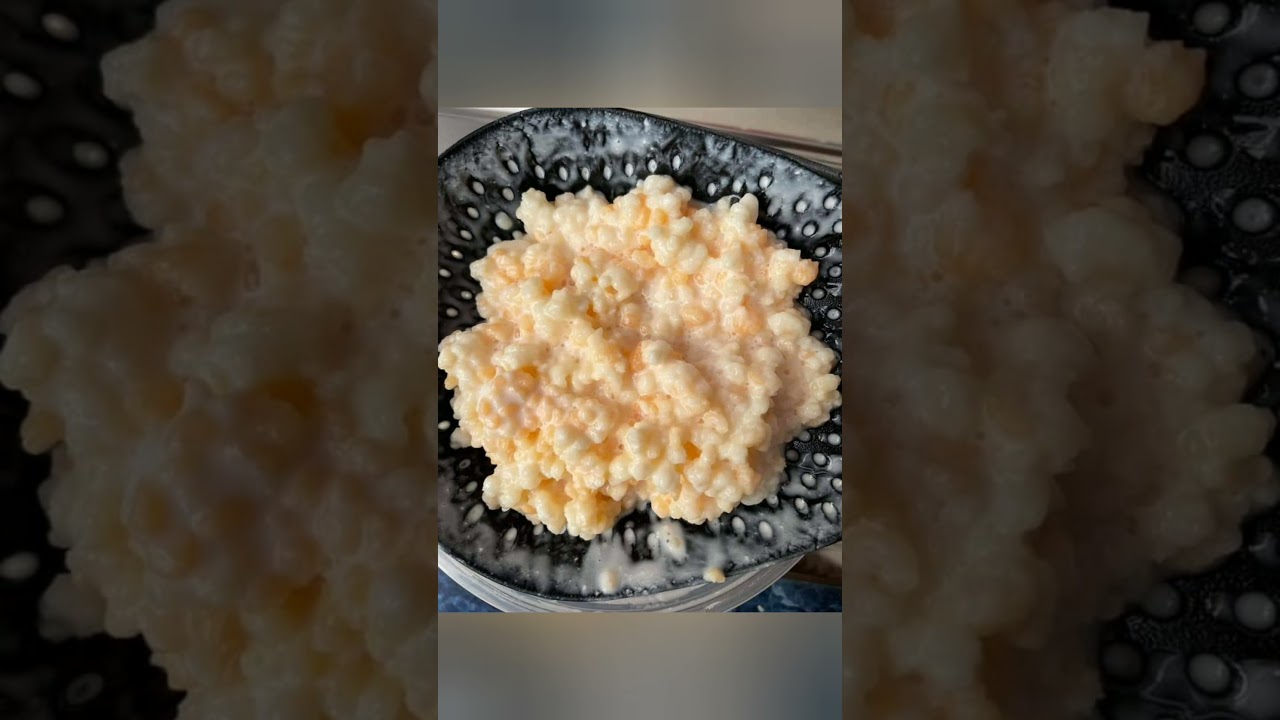 &iquest;Como saber cu&aacute;ndo mi cultivo de B&uacute;lgaros est&aacute; contaminado?💗 &iquest;Tiene soluci&oacute;n? 😢 &iquest;Que puedo hacer?💞