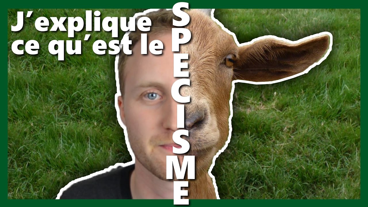 J'EXPLIQUE CE QU'EST LE SP&Eacute;CISME #ANNEXE