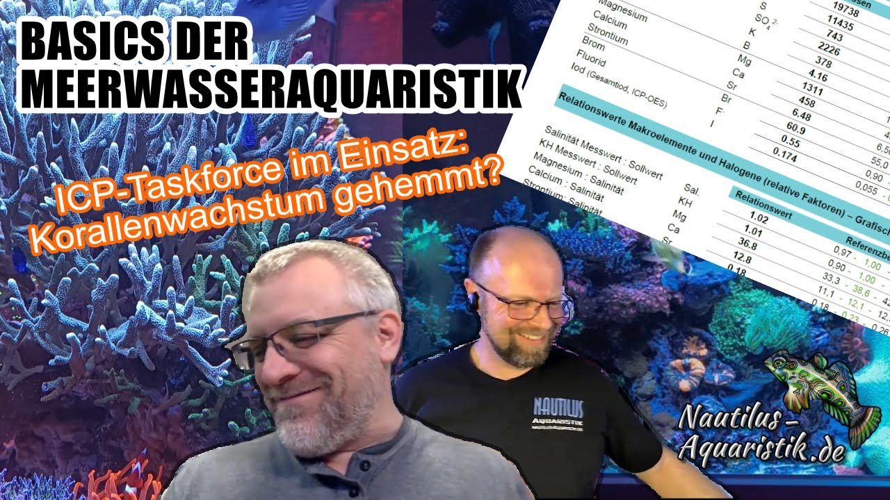 ICP-Taskforce im Einsatz: Korallenwachstum gehemmt?