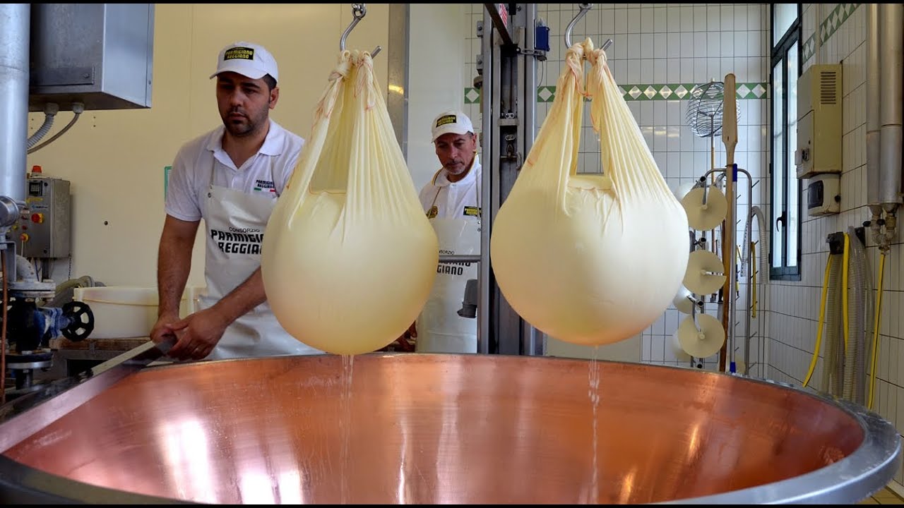 Peynir Nasıl Yapılır - Kaşar Peynir Üretim Fabrikası & Makineları