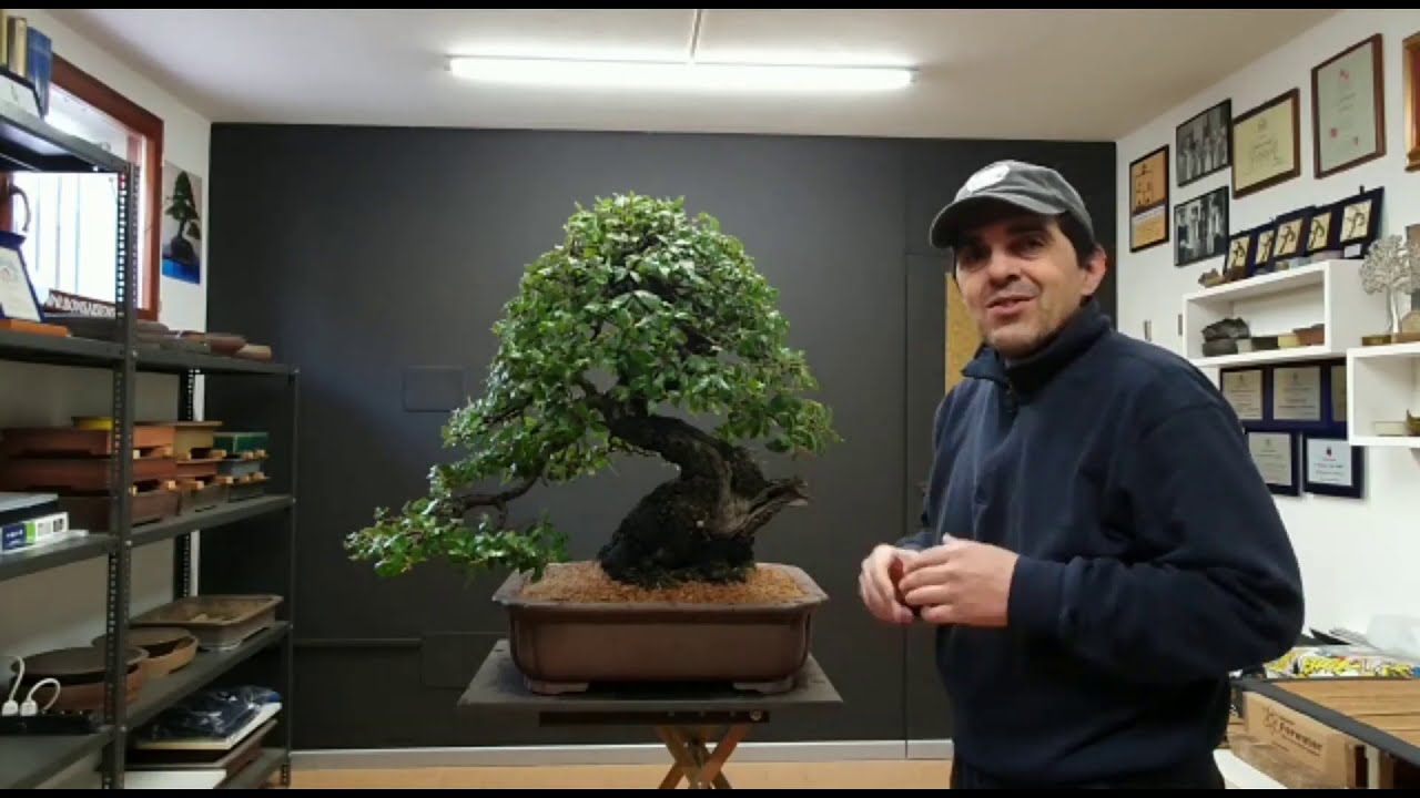 Uniti per una nuova primavera - Stefano Frisoni