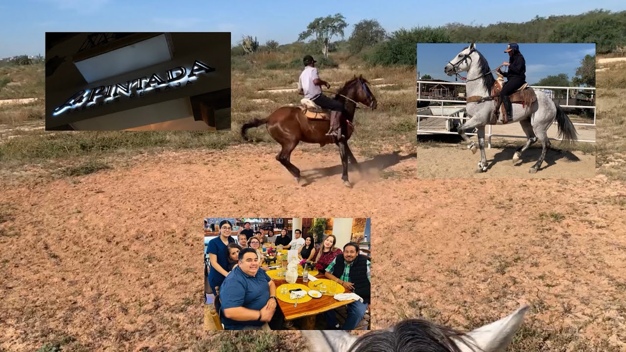 Un día normal de una jovencita: caballos y cena familiar❤️🐴