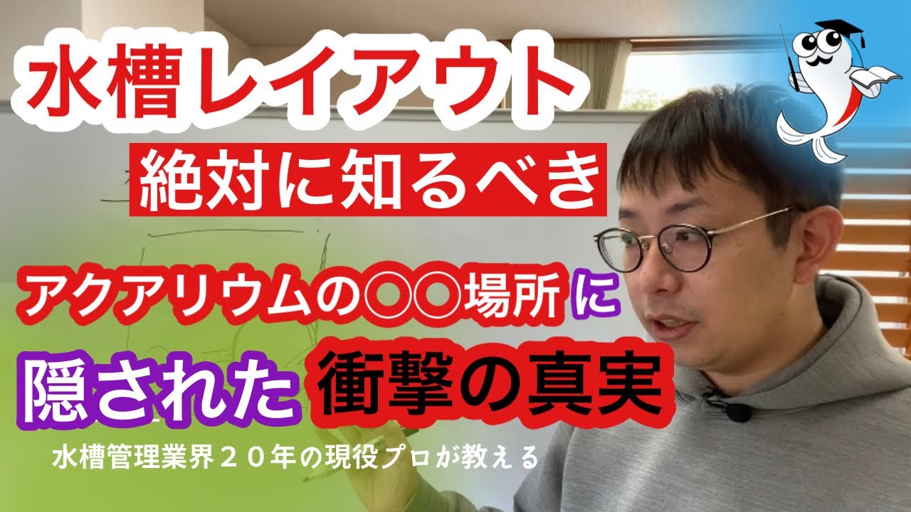 【有料級】たった1日で美しいアクアリウムへ劇的に変わる方法