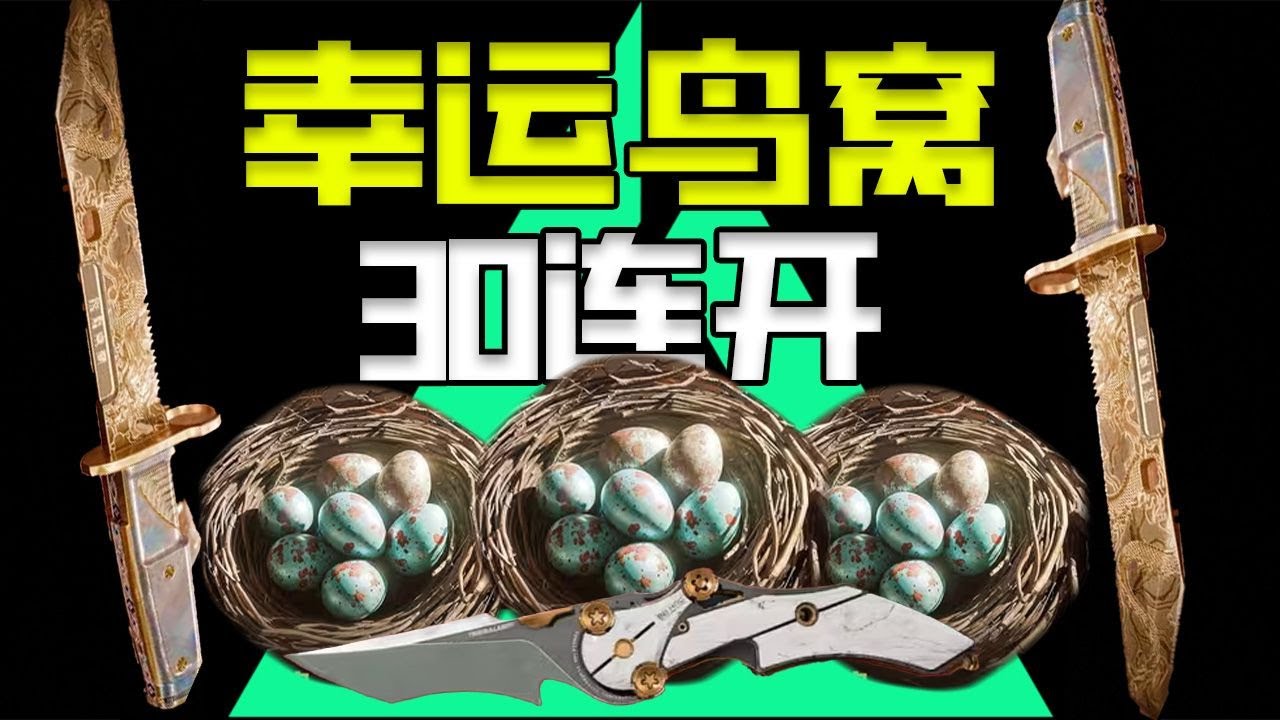 【三角洲行动】幸运鸟窝30连开能出什么？