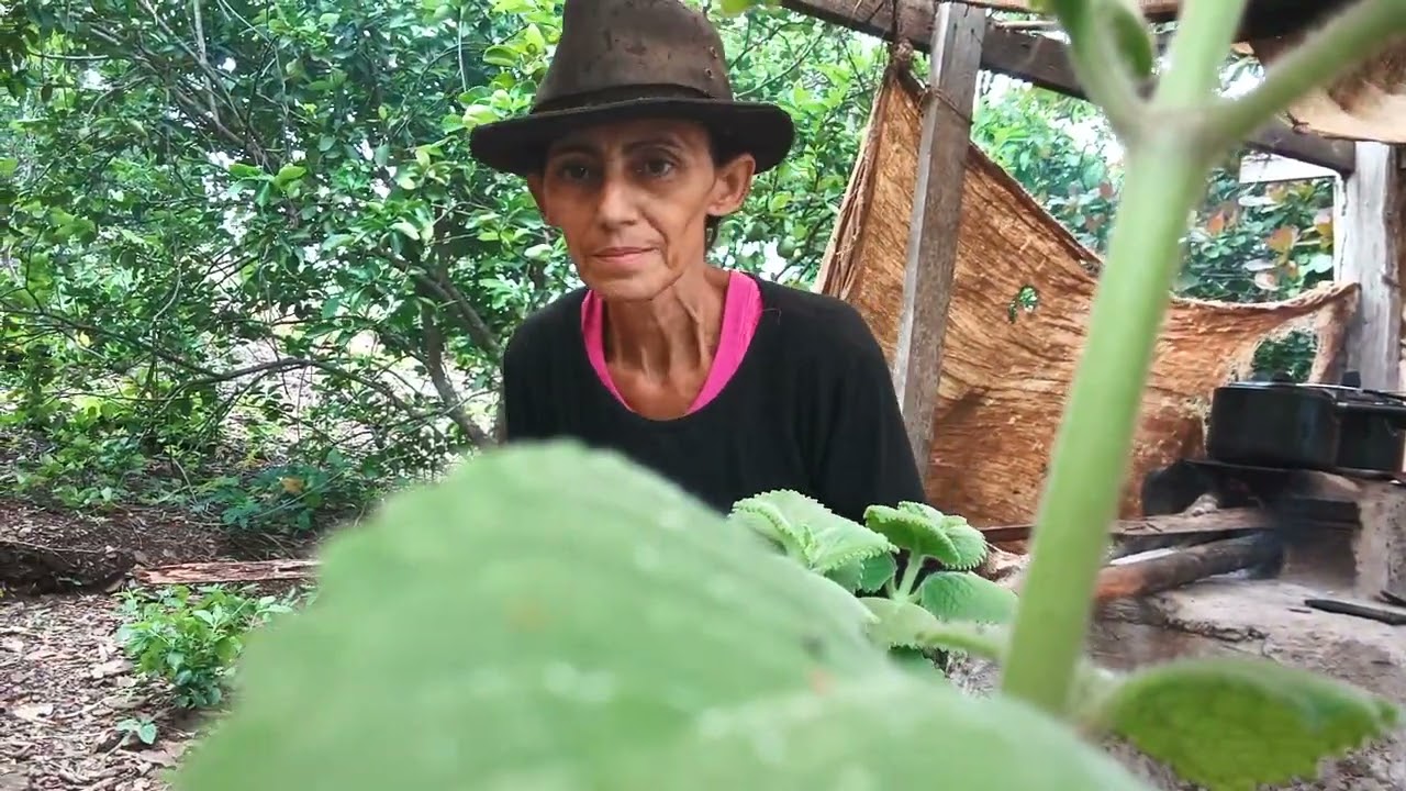 Minha rotina do dia a dia 