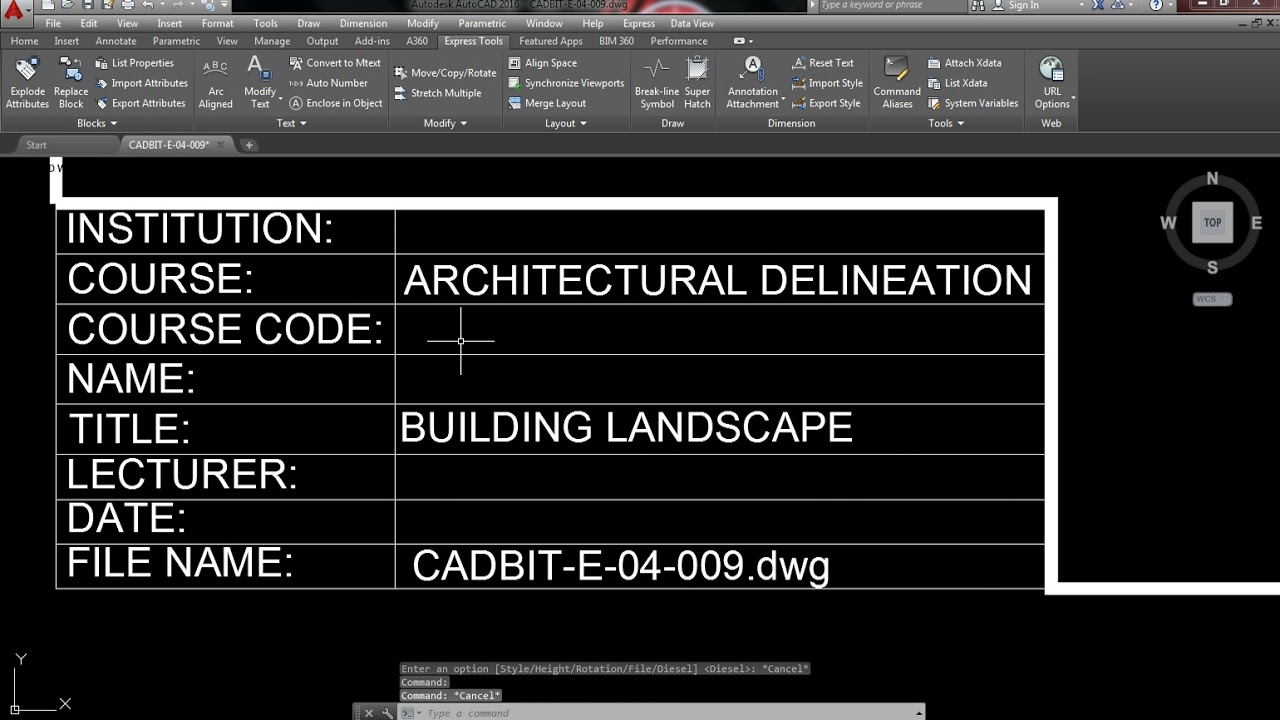 How to use Remote text and Diesel Code in Autocad