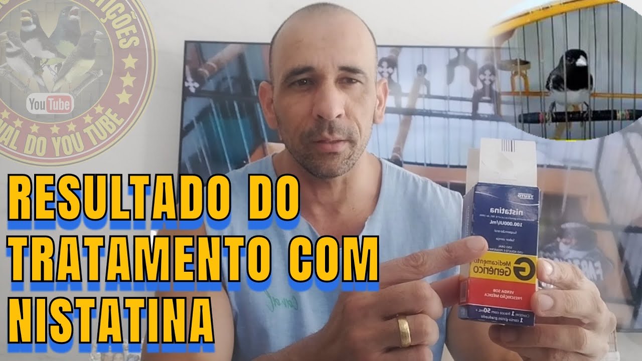Fungos na língua e no papo, resultado final do tratamento com Nistatina no Coleiro Primata