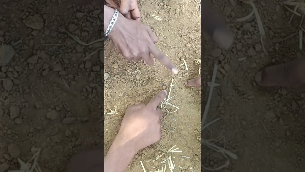 🤣🤣🤣