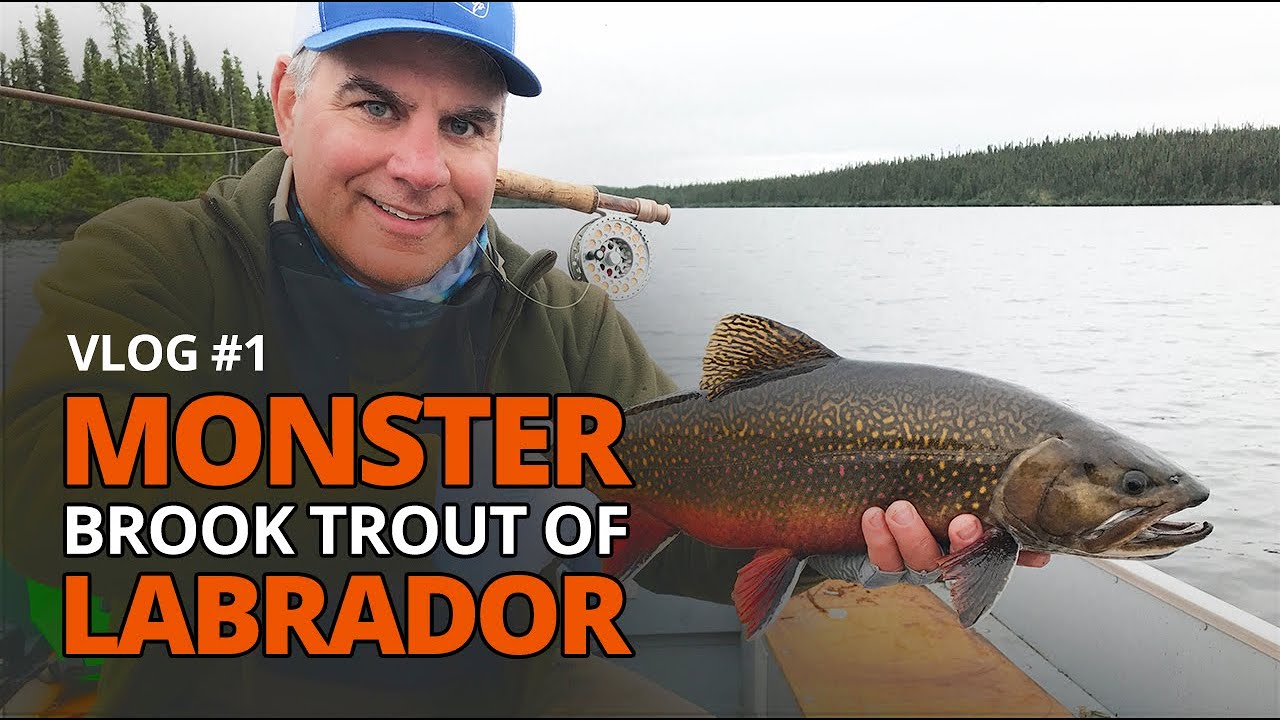 Monster Brook Trout of Labrador