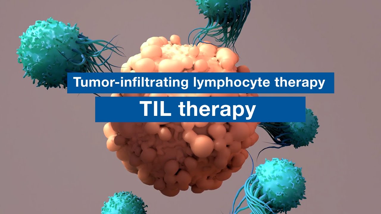 Mayo Clinic Minute - What is TIL therapy?