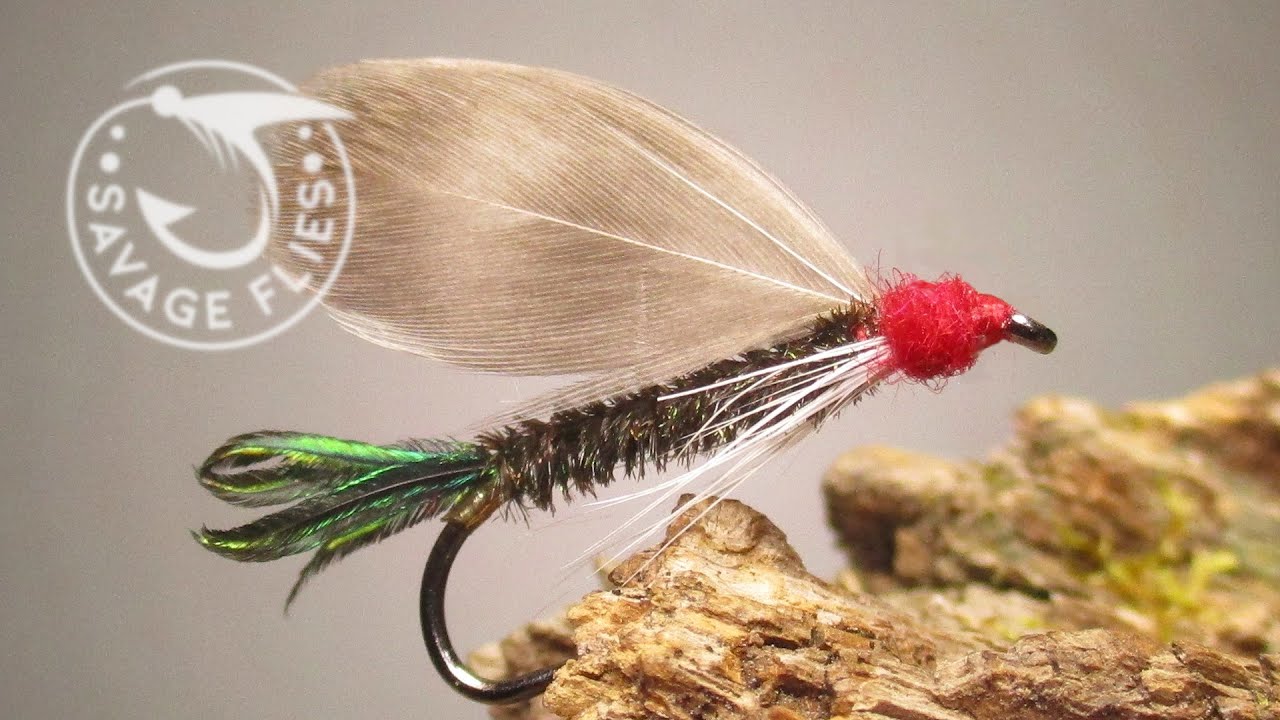 Smallmouth dig this forgotten fly. It’s called the Henshall.