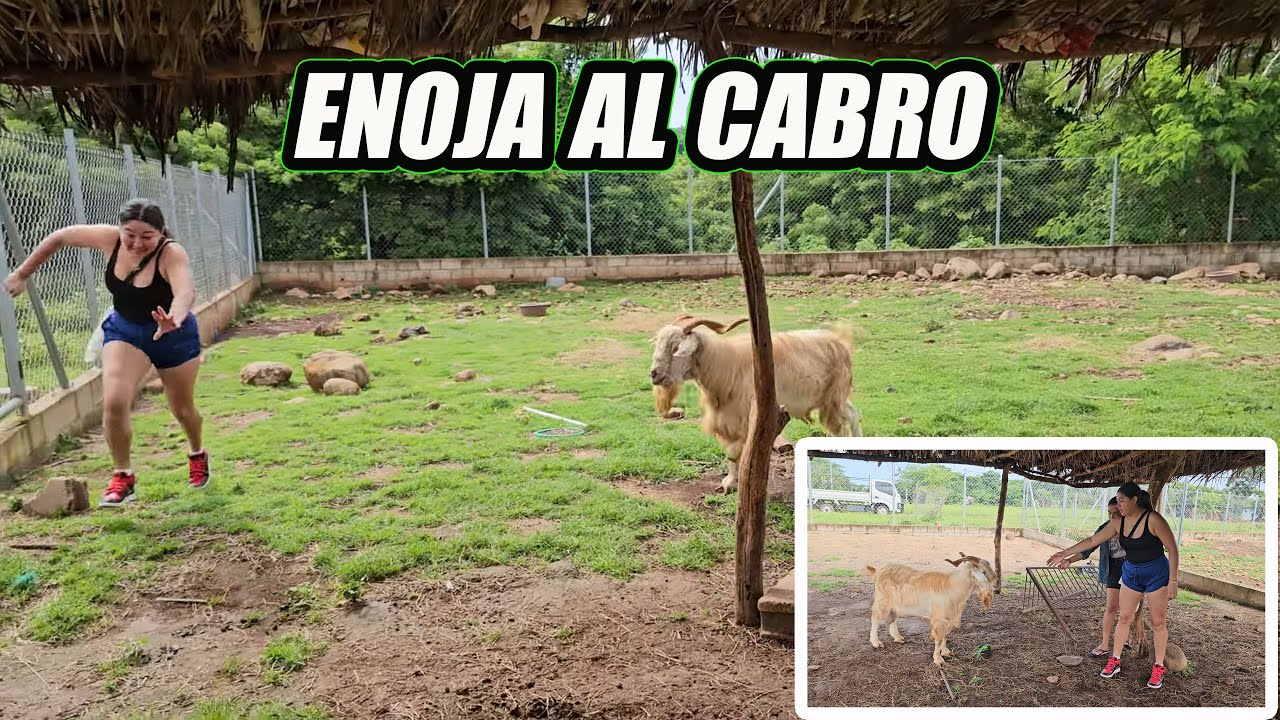 Fátima enoja bien feo al cabro y se le va al tope.