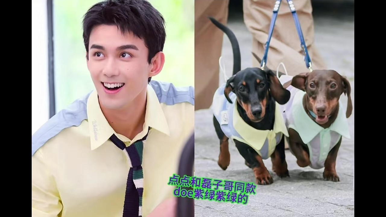 Tea Time July 17th!!  Lei Wu 吴磊 Lusi Zhao 趙露思 WuluKetao 吳露可逃  🍵 🧋 🫖 🍬 💜 💚