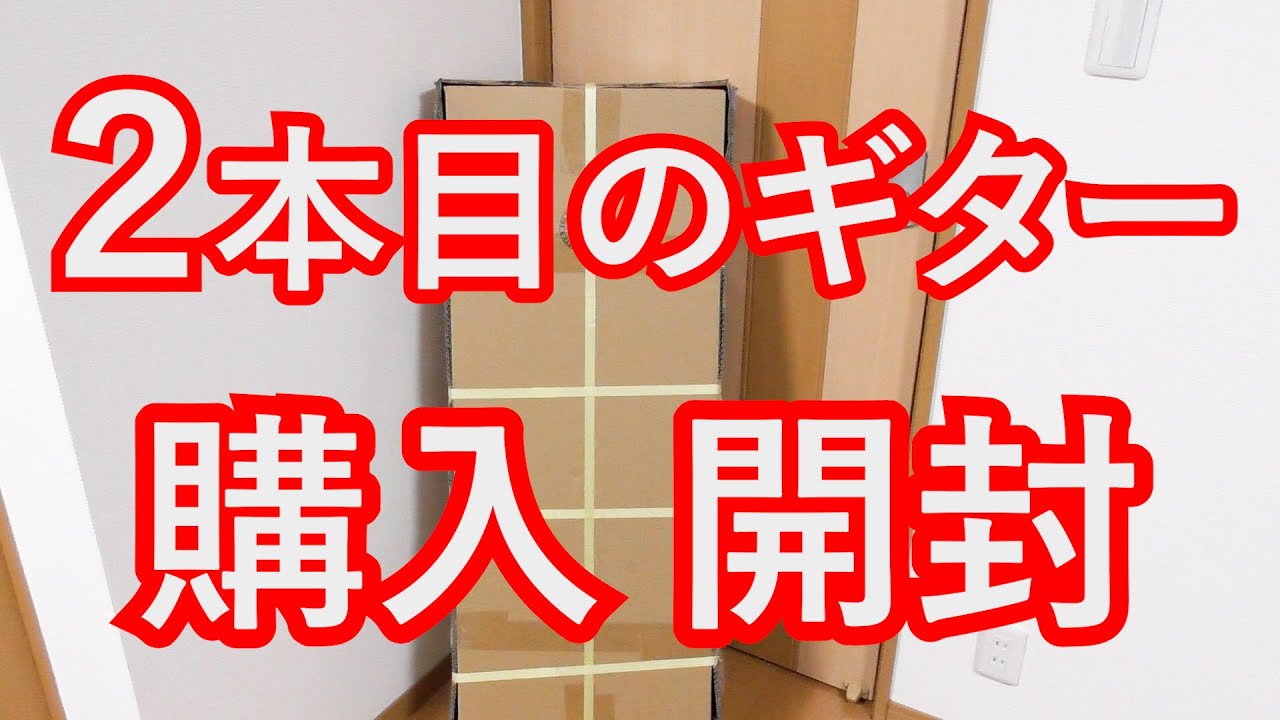 [ギター]２本目ギター買った！開封 【ギター歴 1年 316日】