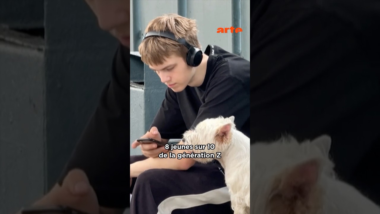 Bient&ocirc;t la fin des r&eacute;seaux sociaux ? #instagram #tiktok #arte #arteinfo