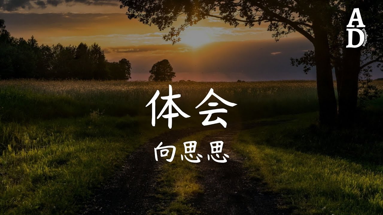 體會 - 向思思『淚總是來得及止不住往下墜 好疲憊』【高音質/動態歌詞/Pinyin Lyrics】