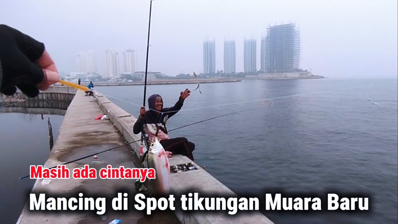 Ternyata masih ada cintanya | Mancing di spot tikungan Muara Baru 