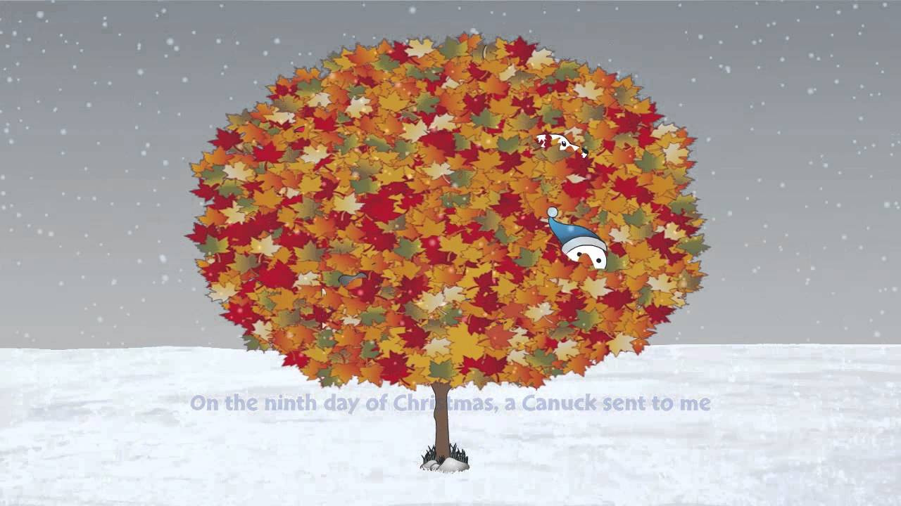 A Moose in a Maple Tree - The All Canadian 12 Days of Christmas