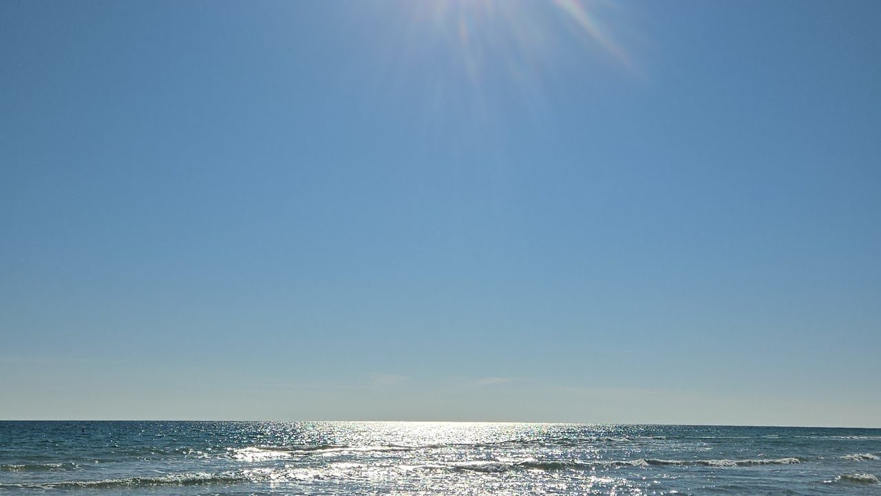 Thawing Out | Gulf Shores 2026