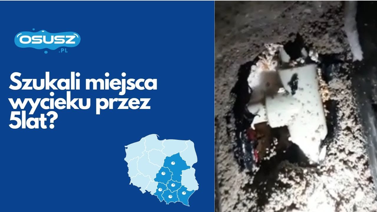 Szukali miejsca wycieku przez 5 lat 😱 💦 | Osusz.pl