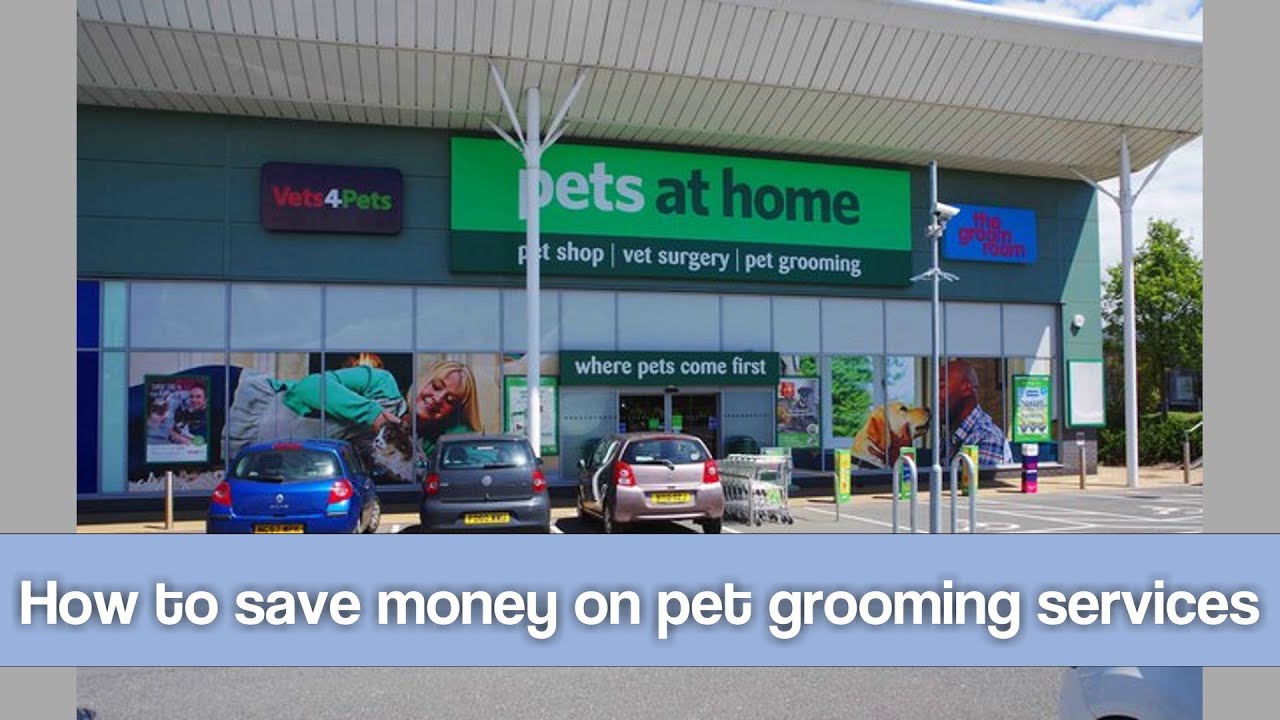 How to save money on pet grooming services