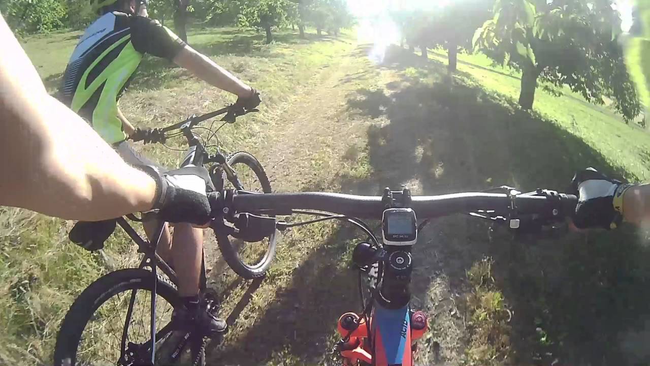 Biken Brandenkopf