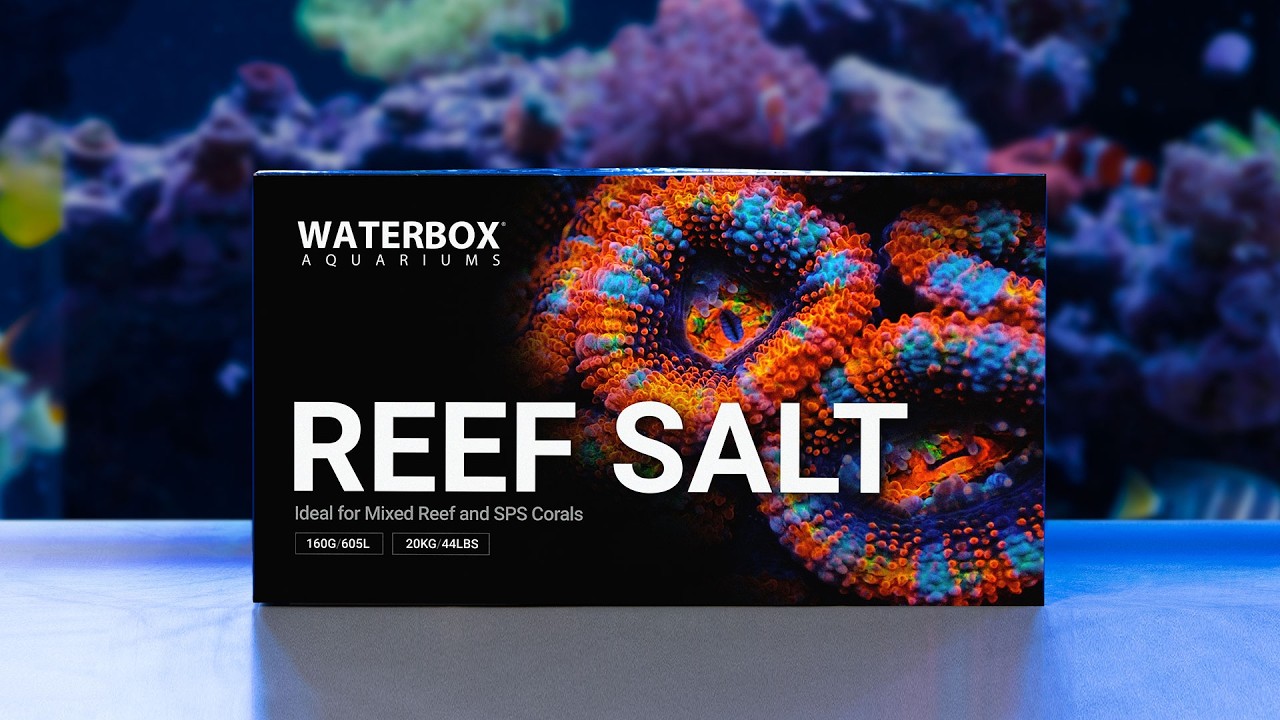 Соль Waterbox Reef Salt | Точность, чистота и готовность к использованию на рифовых аквариумах
