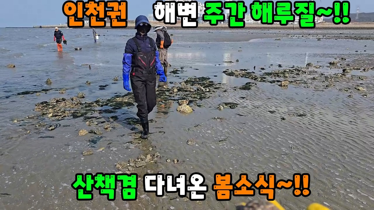 인천권 해변 주간해루질 산책겸 다녀온 봄소식~!!