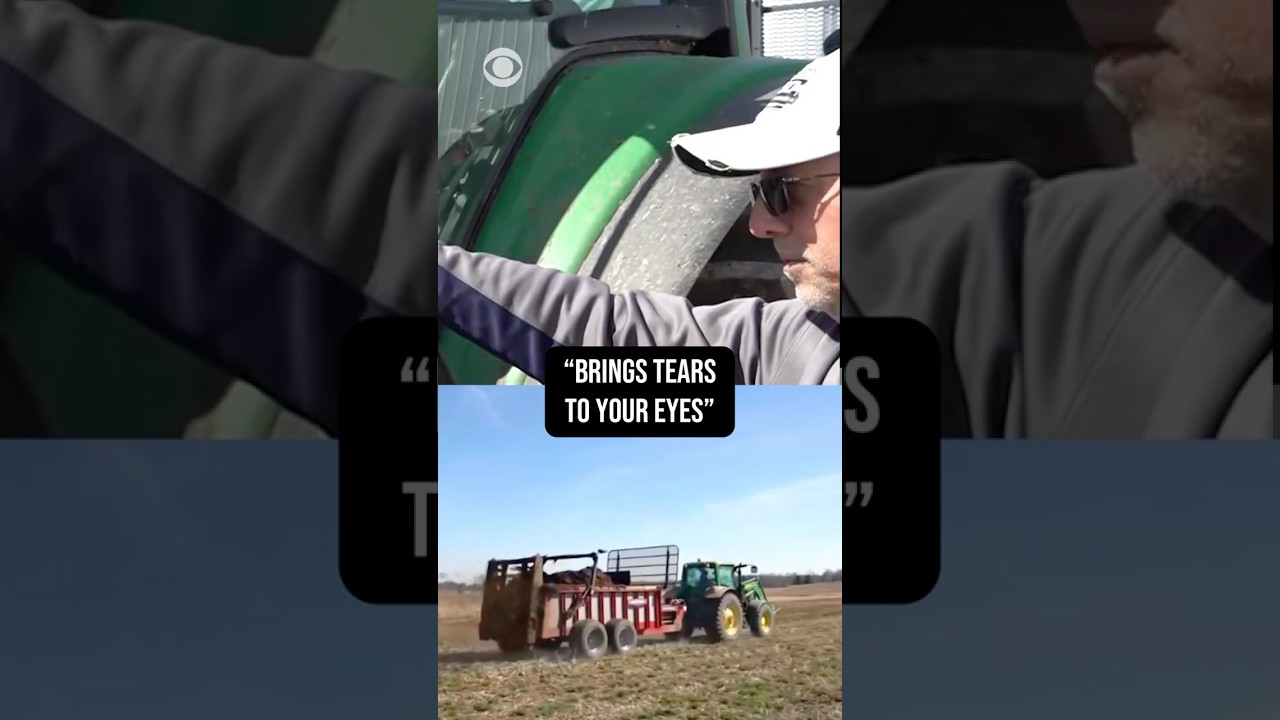 Rising gas and diesel prices impacting those who need to fill trucks, tractors, big vehicles #shorts