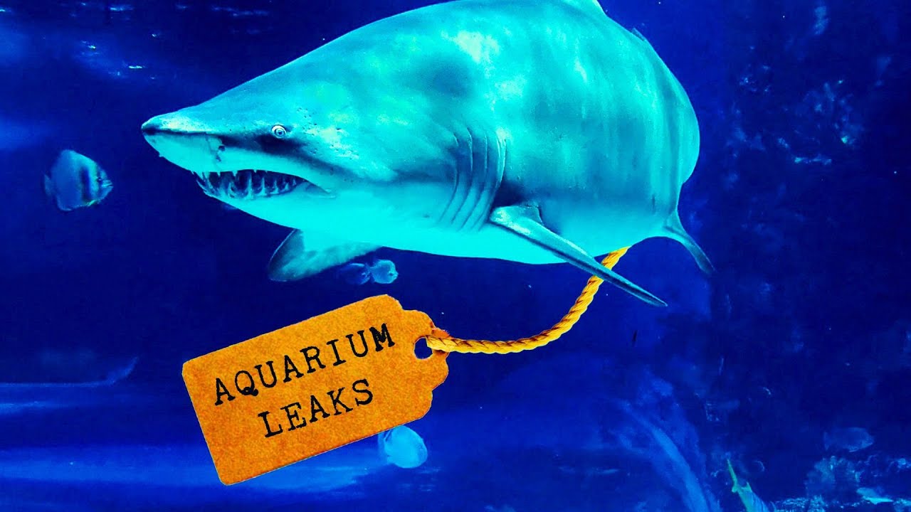 Inside the Aquarium: Secrets of Soviet Military Intelligence | NotebookLM Deep Dive #soviet #spy