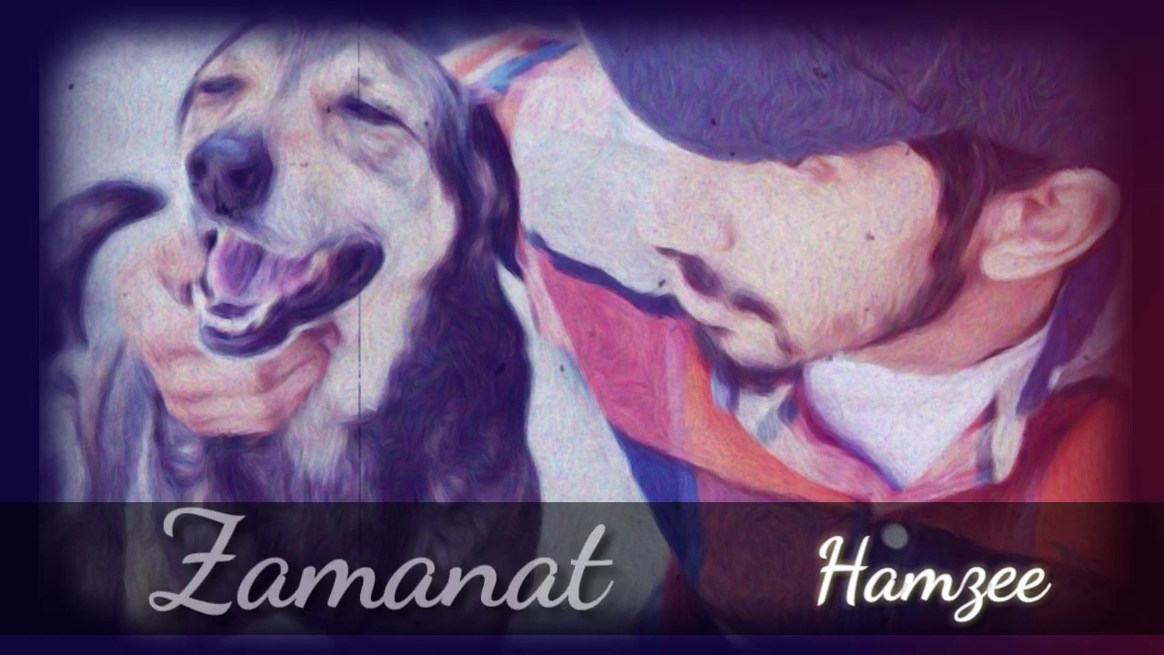 Zamanat - Hamzee - DissTrack