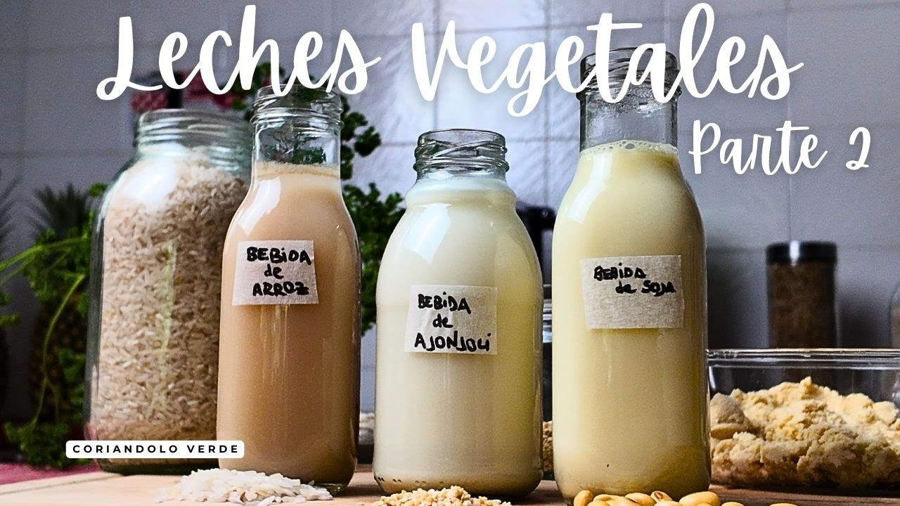 Leches Vegetales en pocos Minutos!! Parte dos
