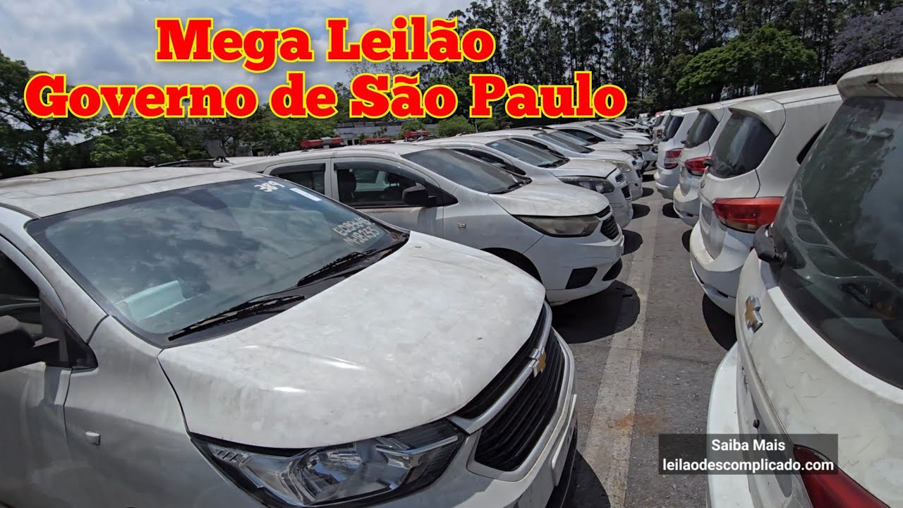 LEIL&Atilde;O de VE&Iacute;CULOS do GOVERNO de S&Atilde;O PAULO