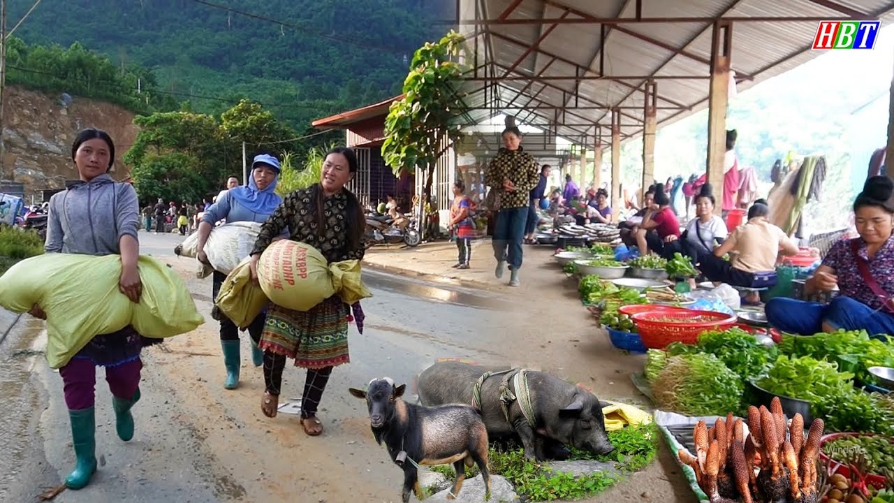 CHỢ ĐẶC BIỆT NGUYÊN SƠ TÂY BẮC - LỢN CẮP NÁCH, DÊ NÚI ĐẶC SẢN, CỦA QUÝ HIẾM VÀ ẨM THỰC GÂY SỐT 