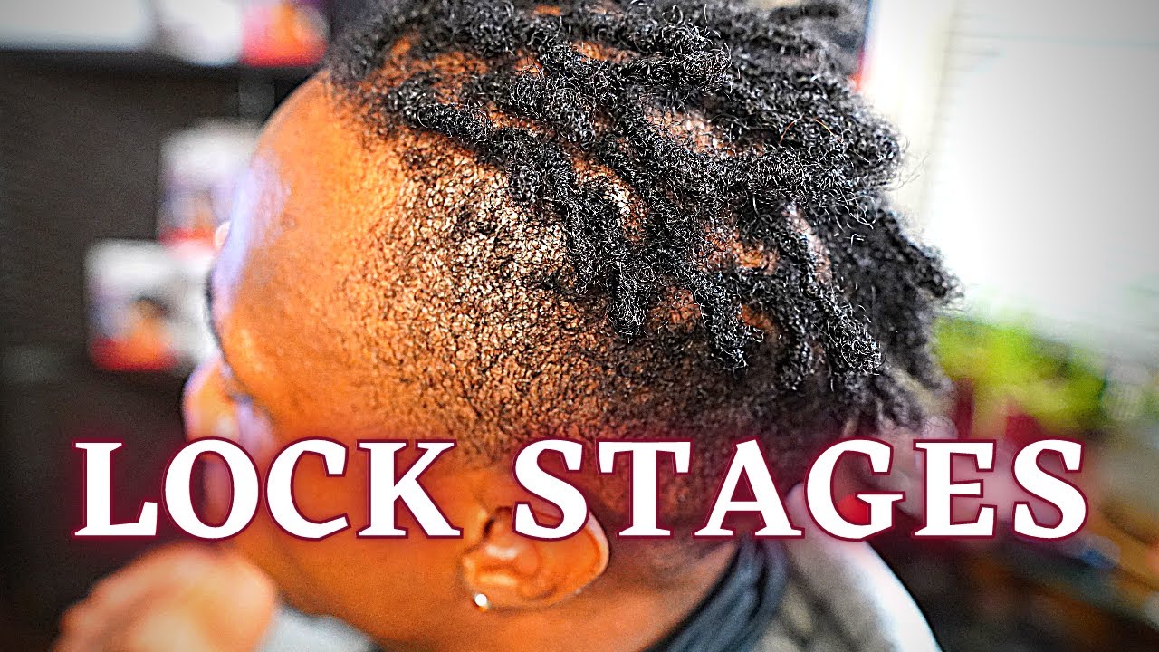 Lock Stages! | Sisterlocks, Traditional Locks & Microlocks | Locsbykayla