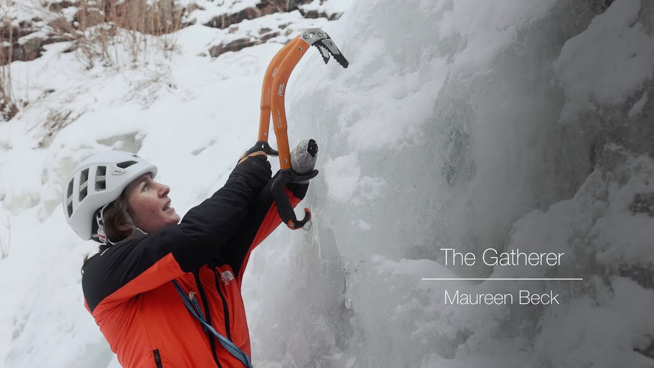The Gatherer - Maureen Beck