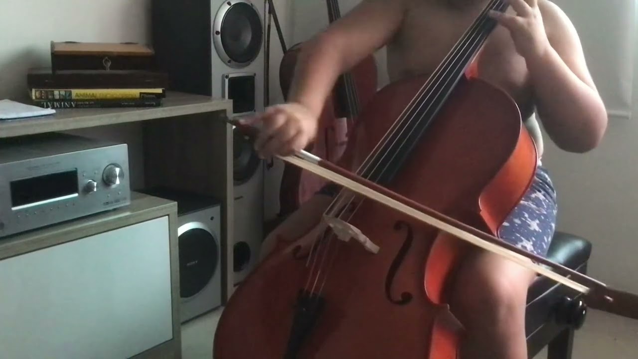 Violoncelo 1/2  Tarttan Série 100