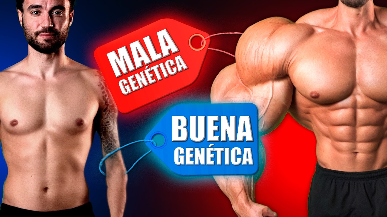 Cómo saber si tienes BUENA GENÉTICA para GANAR MÚSCULO