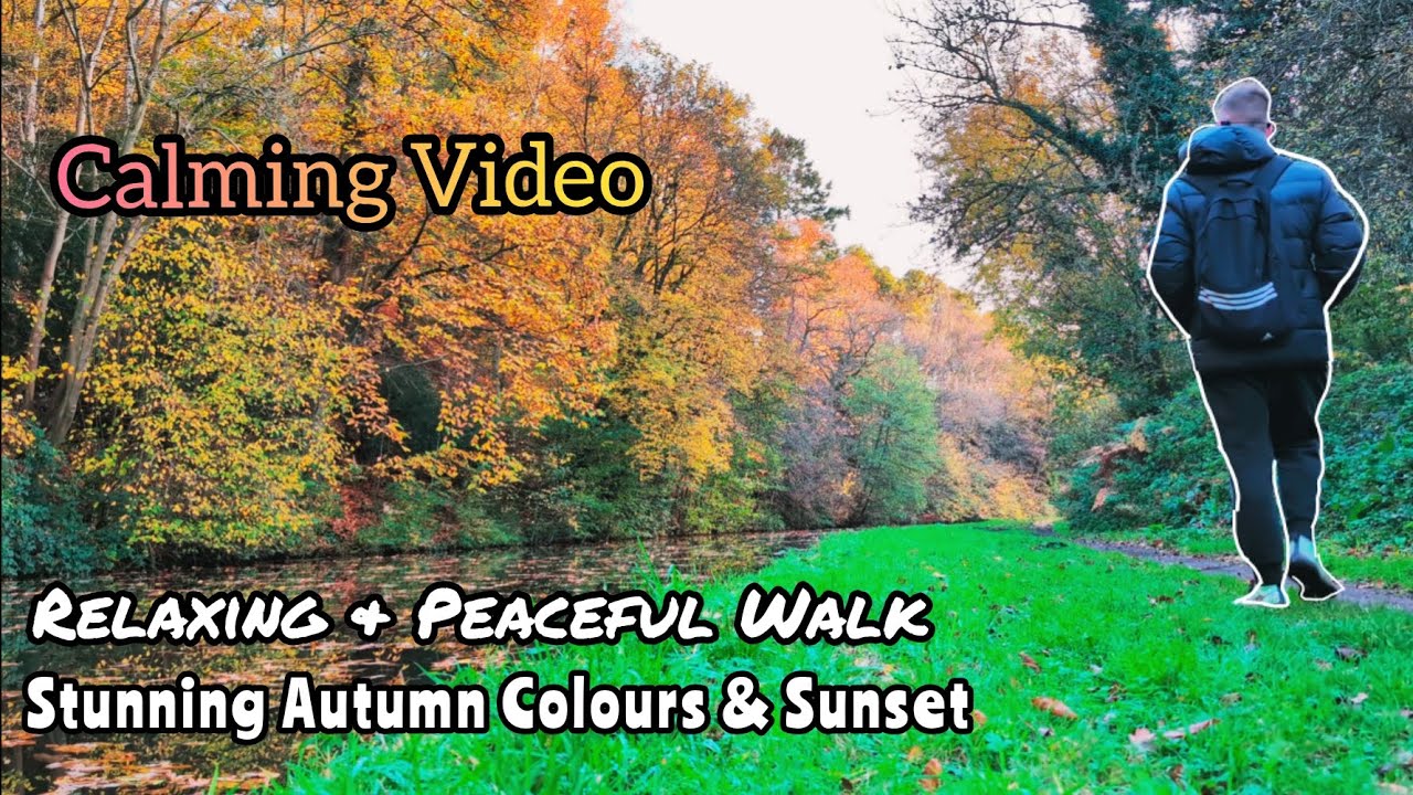 Beautiful Calming Autumn Walk At Sunset. Staffs/Worcs Canal.