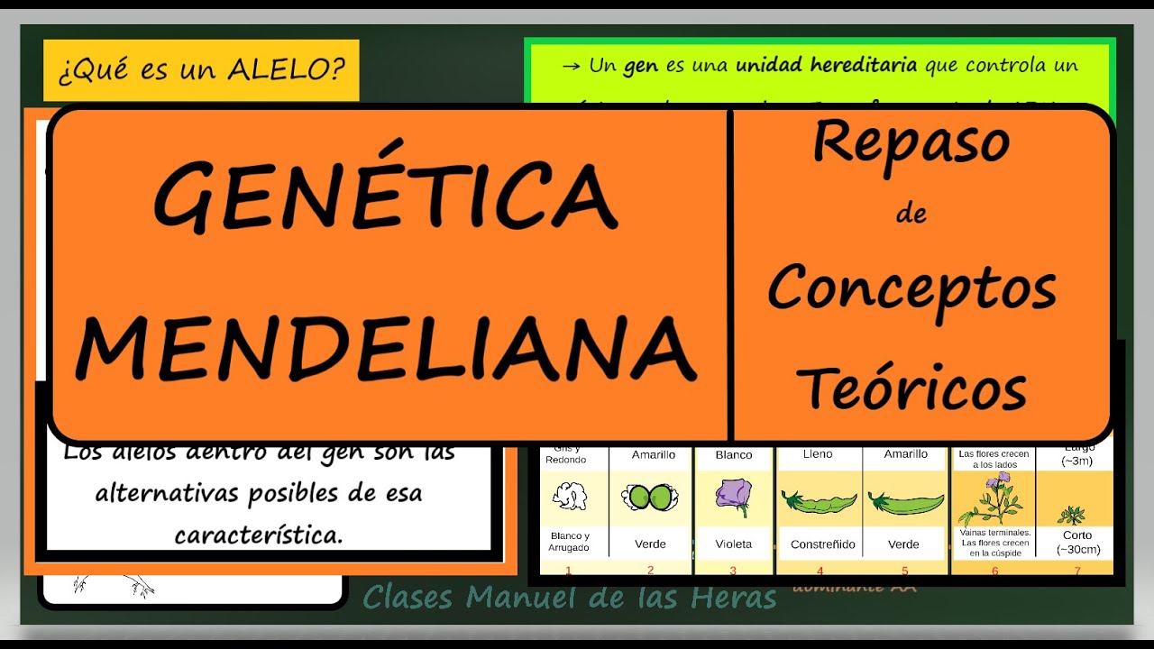 Genética Mendeliana. RESUMEN.  Repaso de Conceptos Teóricos. Biología. Genética.