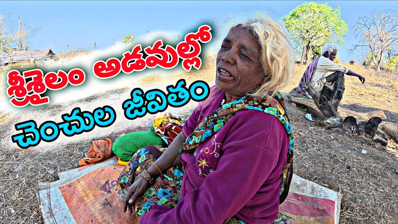 శ్రీశైలం అడవుల్లో చెంచుల కల్మషం లేని జీవితం || @Karnas_creations 