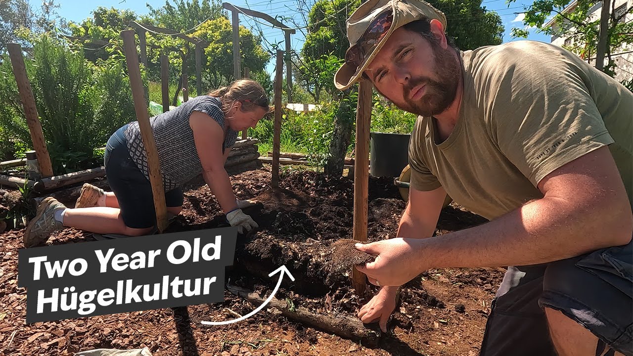 Unexpected Results Revealed: Pulling Apart Hügelkultur Raised Beds