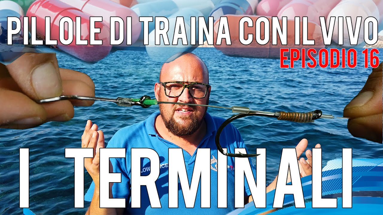 Terminali da Traina col vivo, Pillole di Traina col vivo Ep 16 come fare i terminali