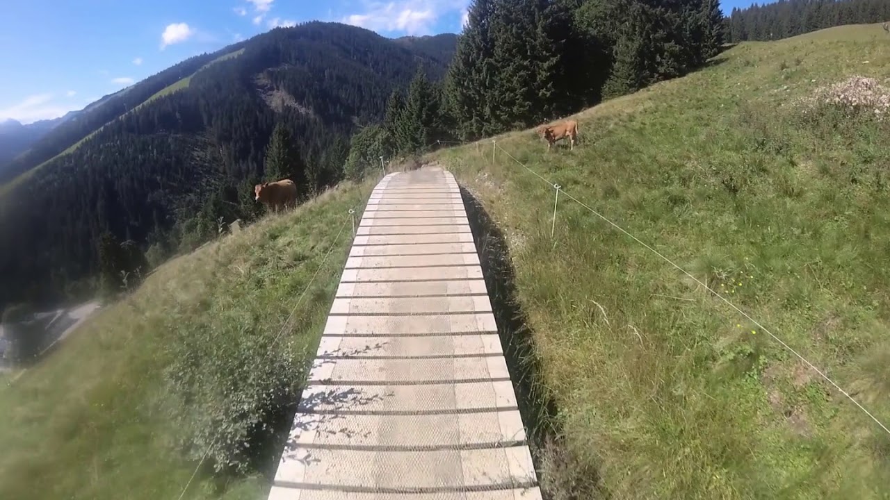 Saalbach - Monti trail