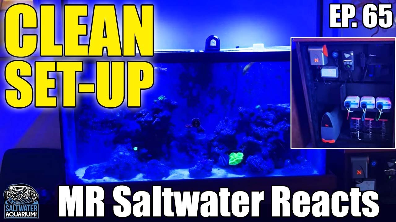 CLEAN Saltwater Aquarium & Control Panel Set-Up - MR Saltwater Reacts